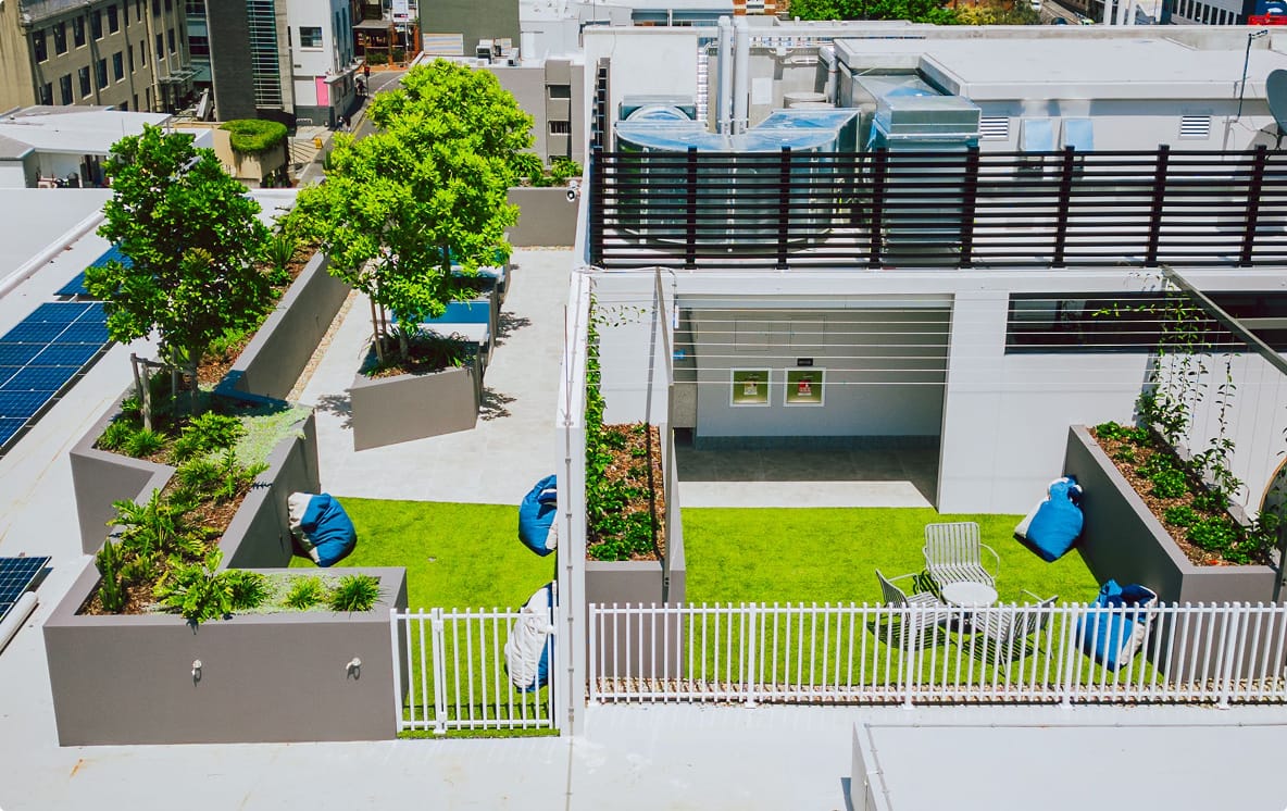 Yoga lawn